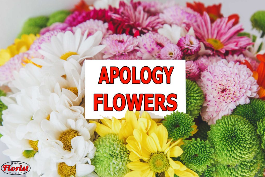 apology flowers Ottawa